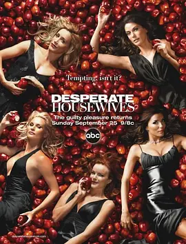 绝望主妇 第二季 Desperate Housewives Season 2