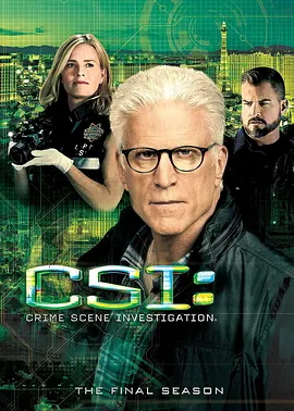 犯罪现场调查 第十五季 CSI： Crime Scene Investigation Season 15