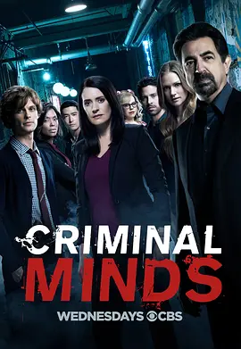 犯罪心理第十三季CriminalMindsSeason13