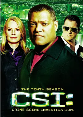 犯罪现场调查 第十季 CSI： Crime Scene Investigation Season 10
