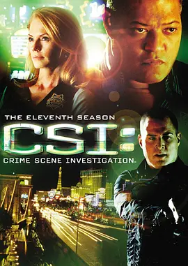 犯罪現場調查 第十一季 CSI： Crime Scene Investigation Season 11