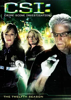 罪现场调查 第十二季 CSI： Crime Scene Investigation Season 12