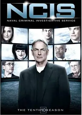 海軍罪案調查處 第十季 NCIS： Naval Criminal Investigative Service Season 10