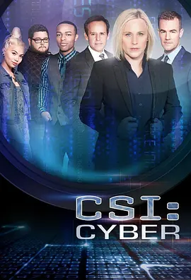 网络犯罪调查 第二季 CSI： Cyber Season 2