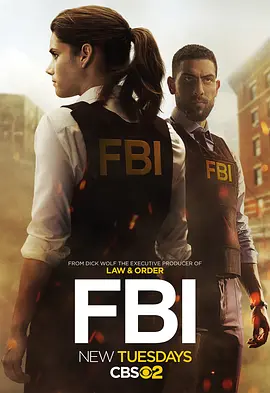 聯邦調查局 第一季 FBI Season 1