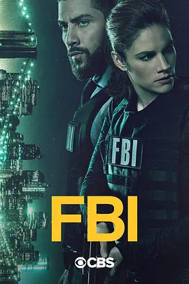 联邦调查局 第三季 FBI Season 3