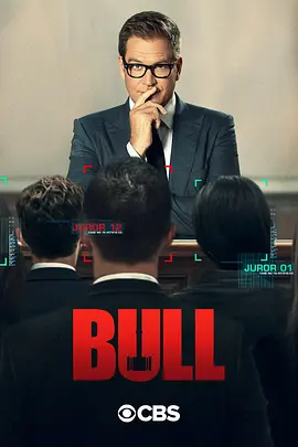 庭审专家第五季BullSeason5