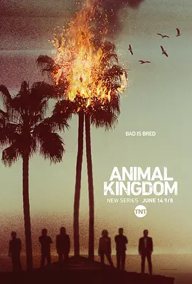 野獸家族 第一季 Animal Kingdom Season 1