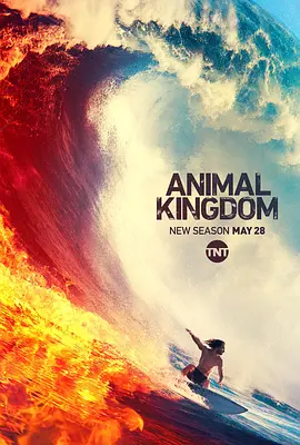 野獸家族 第四季 Animal Kingdom Season 4