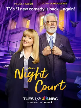 夜間法庭第二季