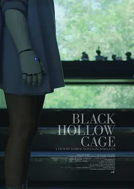 黑盒子BlackHollowCage