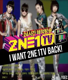 2NE1TV 第一季