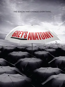 实习医生格蕾第六季Grey&#039;sAnatomySeason6