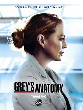 实习医生格蕾第十七季Grey'sAnatomySeason17