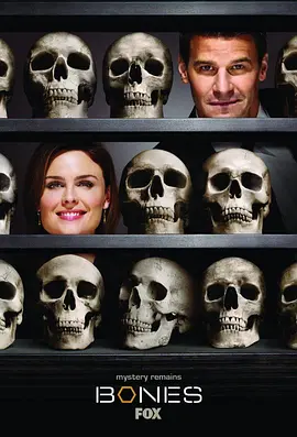 识骨寻踪 第四季 Bones Season 4