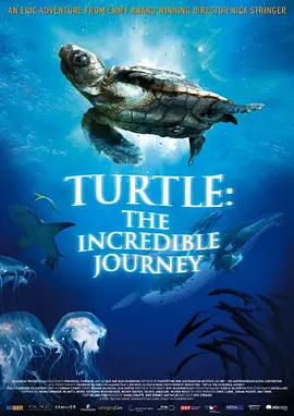 海龜神奇之旅